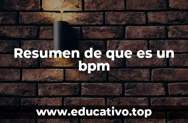 Resumen de que es un bpm