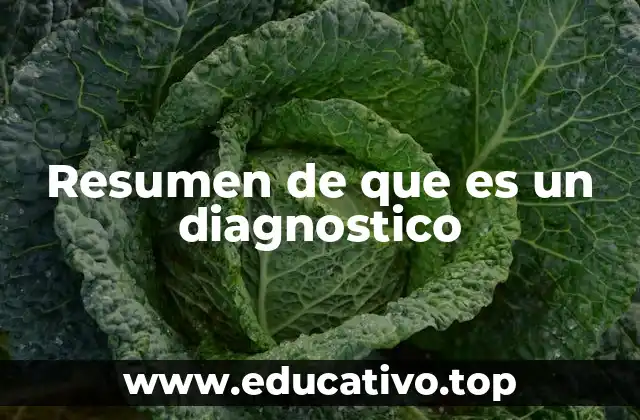 Resumen de que es un diagnostico