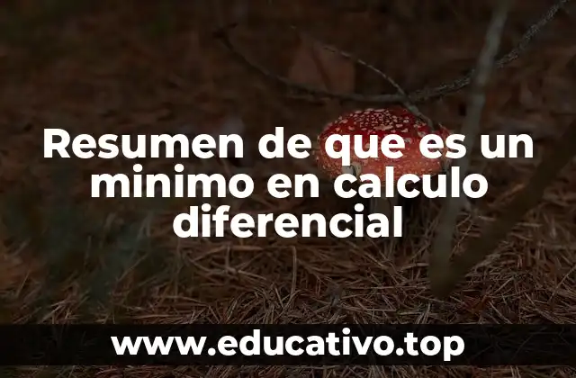 Resumen de que es un minimo en calculo diferencial