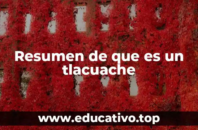 Resumen de que es un tlacuache