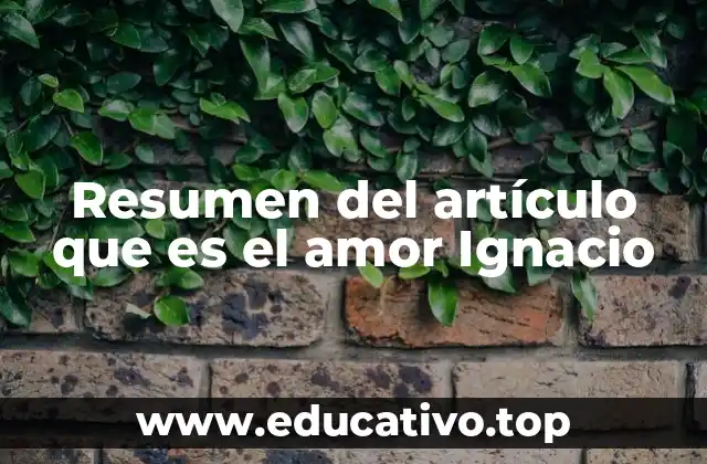 Resumen del artículo que es el amor Ignacio