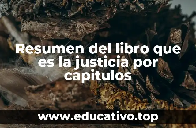 Resumen del libro que es la justicia por capitulos