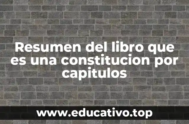 Resumen del libro que es una constitucion por capitulos