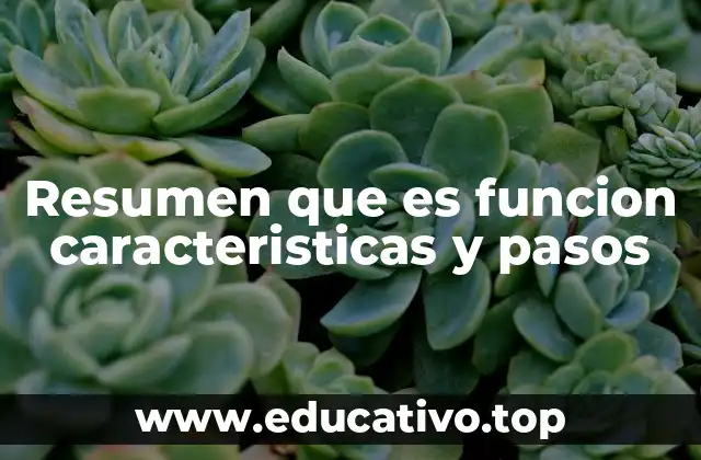 Resumen que es funcion caracteristicas y pasos