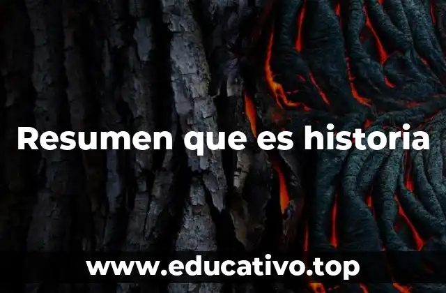 Resumen que es historia