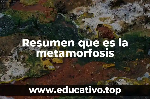 Resumen que es la metamorfosis