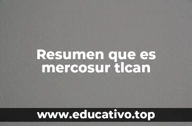 Resumen que es mercosur tlcan