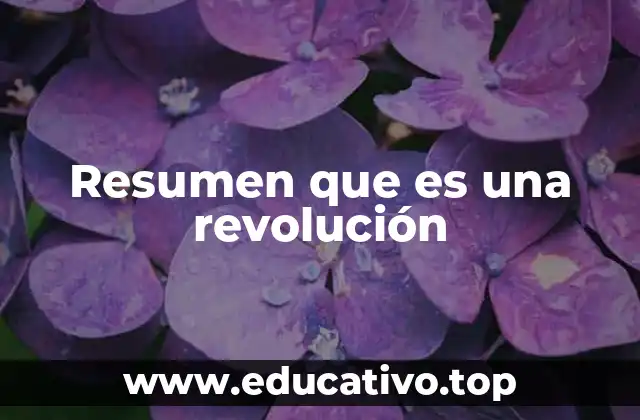 Resumen que es una revolución