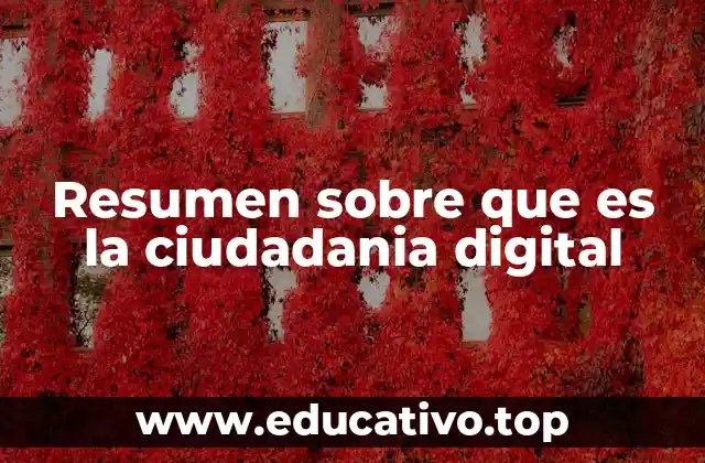 Resumen sobre que es la ciudadania digital