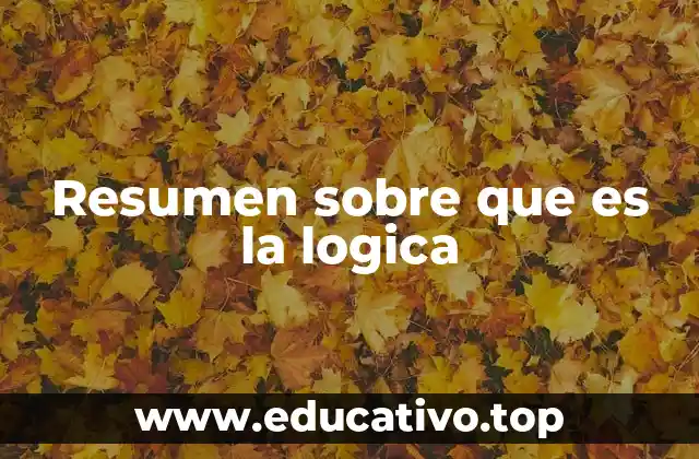 Resumen sobre que es la logica