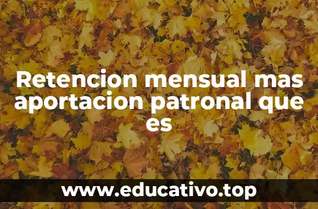 Retencion mensual mas aportacion patronal que es