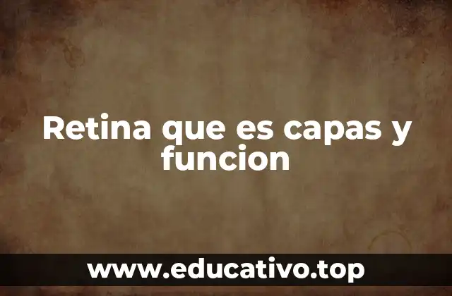 Retina que es capas y funcion