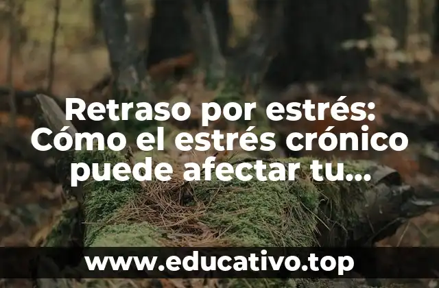 Retraso por estrés: Cómo el estrés crónico puede afectar tu productividad