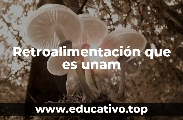 Retroalimentación que es unam