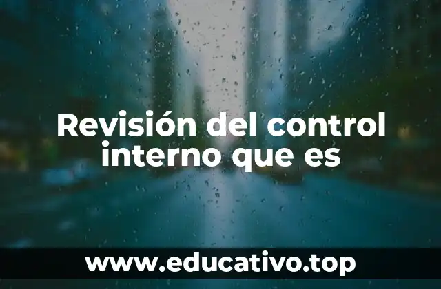 Revisión del control interno que es