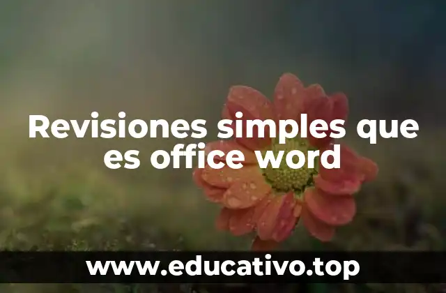 Revisiones simples que es office word