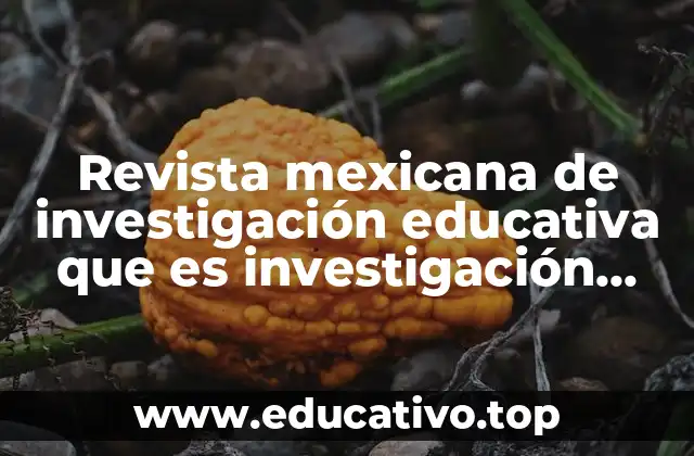 Revista mexicana de investigación educativa que es investigación educativa