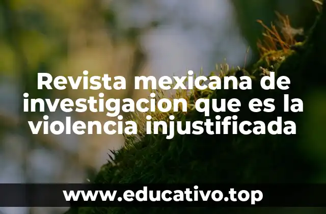 Revista mexicana de investigacion que es la violencia injustificada