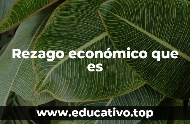 Rezago económico que es