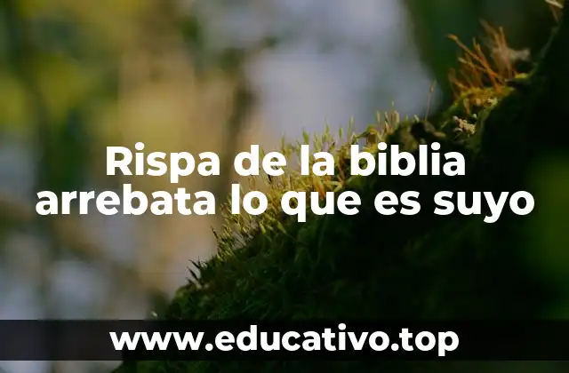 Rispa de la biblia arrebata lo que es suyo