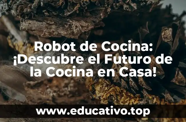 Robot de Cocina: ¡Descubre el Futuro de la Cocina en Casa!