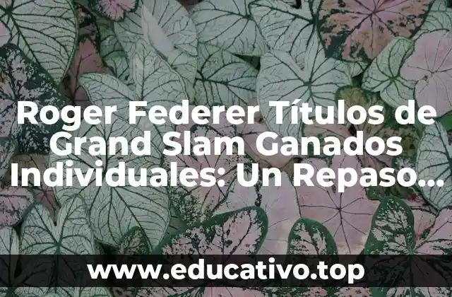 Roger Federer Títulos de Grand Slam Ganados Individuales: Un Repaso a su Carrera Épica