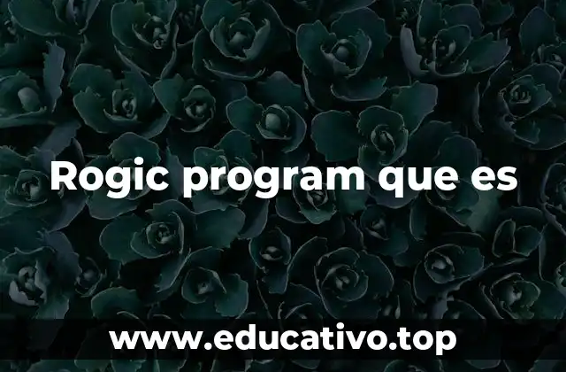 Rogic program que es