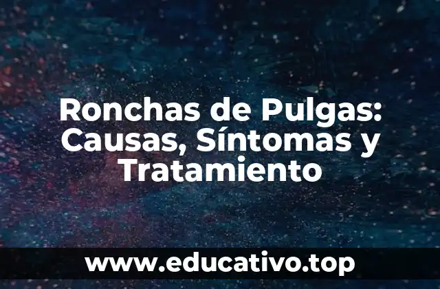 Ronchas de Pulgas: Causas, Síntomas y Tratamiento