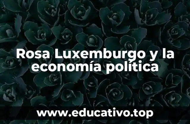 Rosa Luxemburgo y la economía política