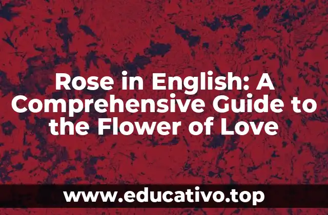 Rose in English: A Comprehensive Guide to the Flower of Love