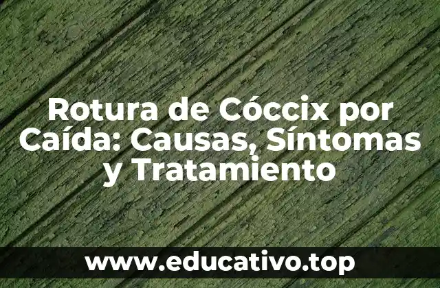 Rotura de Cóccix por Caída: Causas, Síntomas y Tratamiento