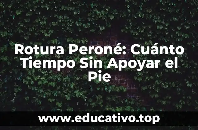 Rotura Peroné: Cuánto Tiempo Sin Apoyar el Pie