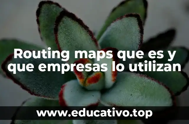 Routing maps que es y que empresas lo utilizan