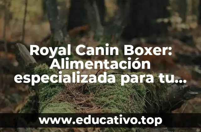 Royal Canin Boxer: Alimentación especializada para tu amigo fiel