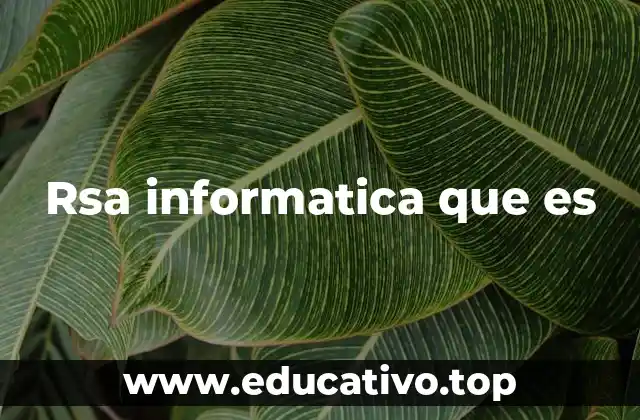 Rsa informatica que es