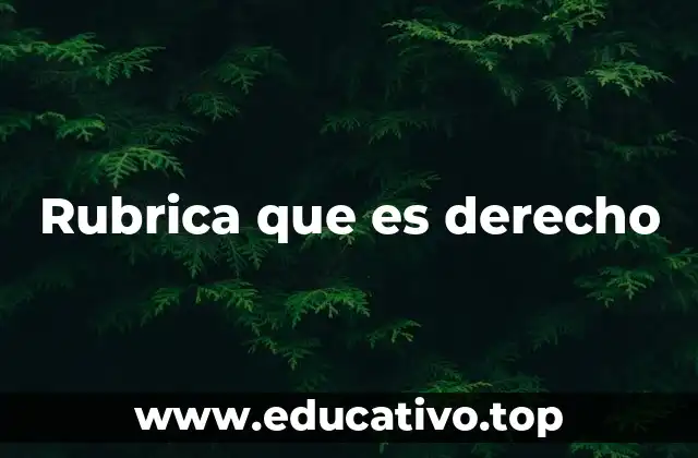 Rubrica que es derecho