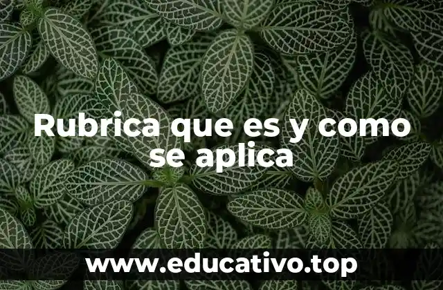 Rubrica que es y como se aplica