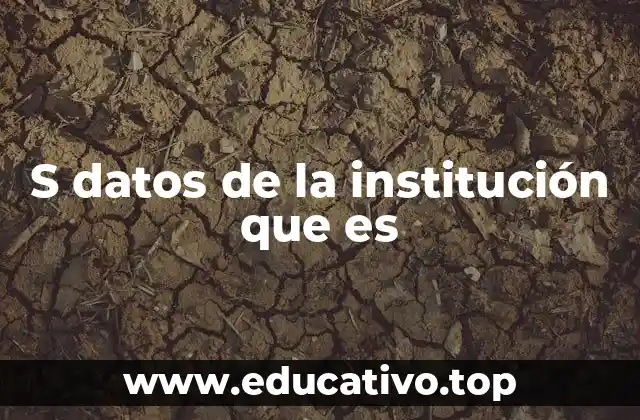 La relevancia de los datos institucionales en la toma de decisiones