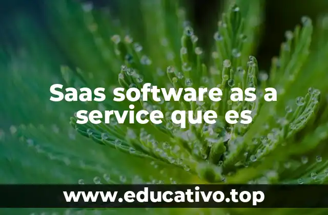 Saas software as a service que es
