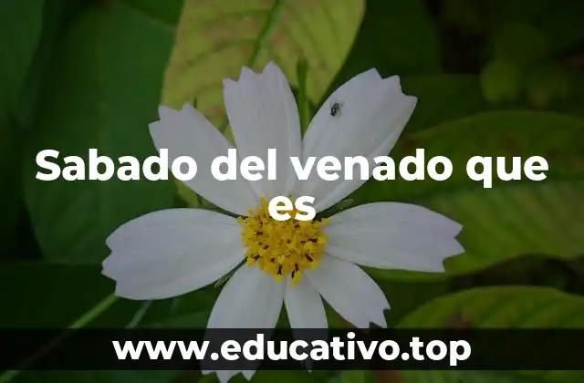 Sabado del venado que es