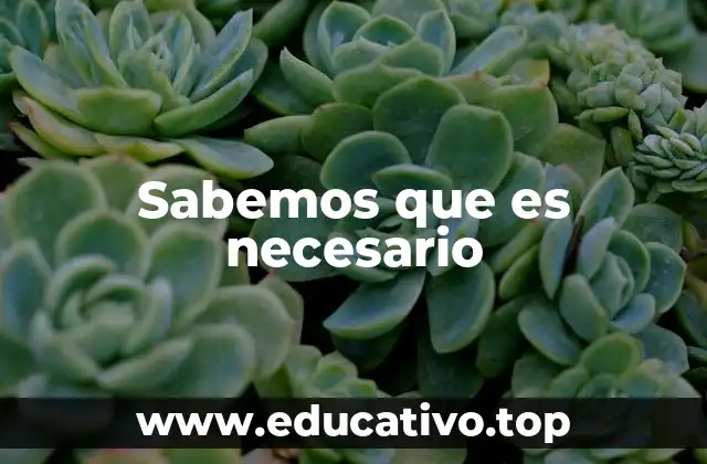 Sabemos que es necesario