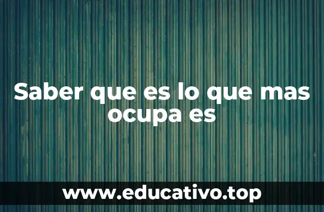 Saber que es lo que mas ocupa es