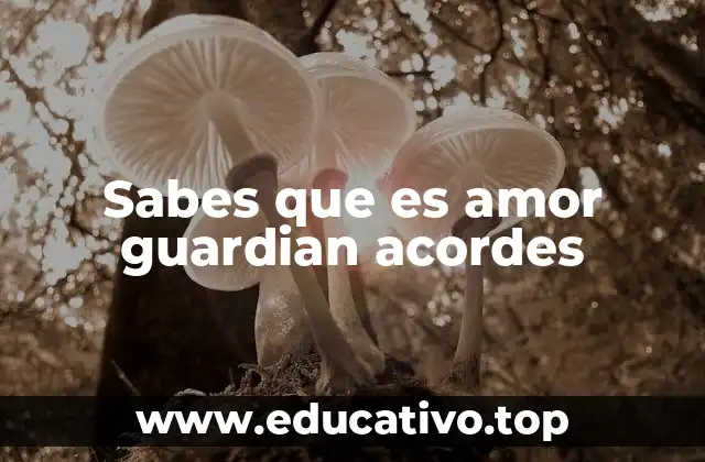 Sabes que es amor guardian acordes