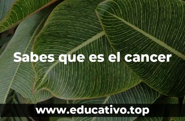 Sabes que es el cancer