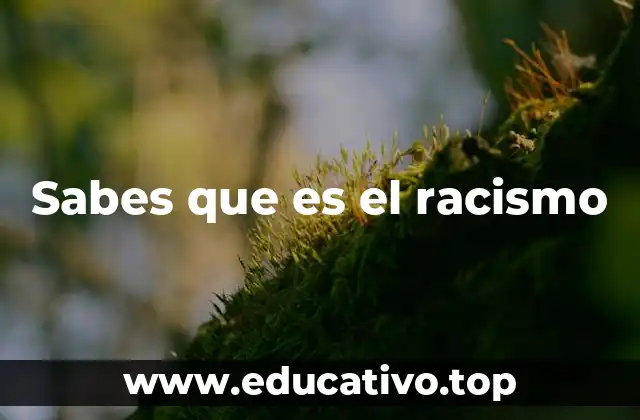 Sabes que es el racismo