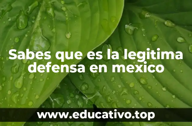 Sabes que es la legitima defensa en mexico