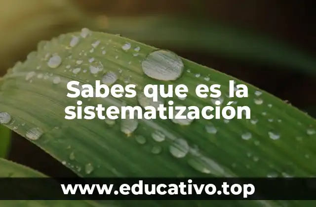 Sabes que es la sistematización
