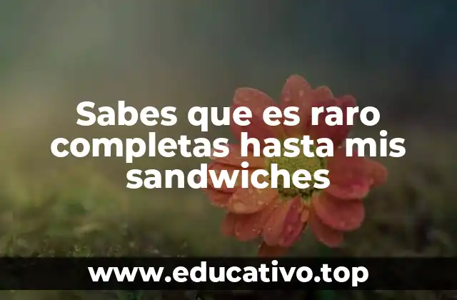Sabes que es raro completas hasta mis sandwiches