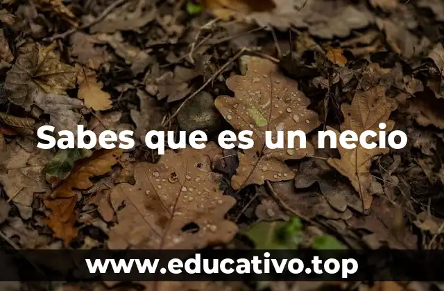 Sabes que es un necio