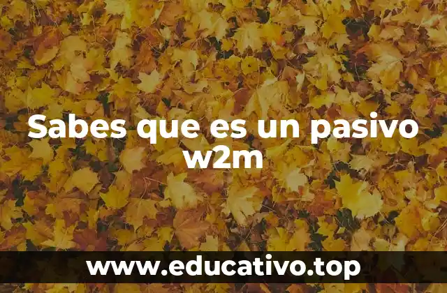 Sabes que es un pasivo w2m